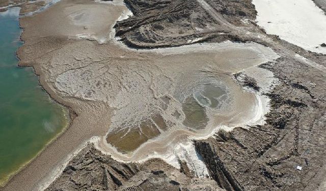 Ölü Deniz'deki canlılığa bir bakış