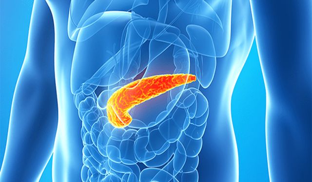 Portekizli bilim insanları pankreas kanserinin ilerlemesini önleyen bir yöntem buldu