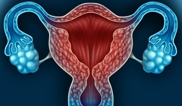 Araştırma: Östrojen hormonu, Kovid-19'la bağlantılı ciddi hastalıklardan kadınları koruyabilir