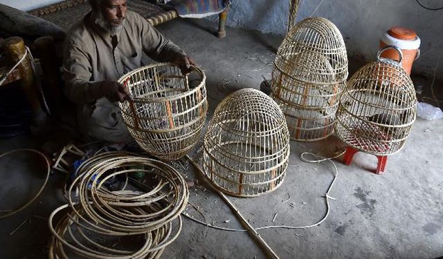 Pakistan'ın Peşaver şehrindeki el yapımı kuş kafesleri