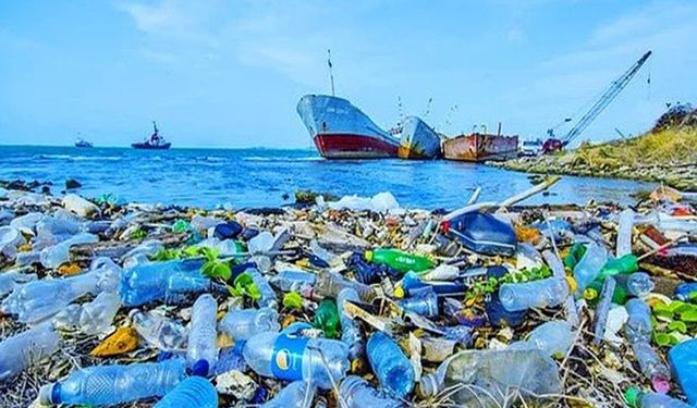 WWF: Akdeniz'deki plastik yoğunluğu rekor düzeye ulaştı