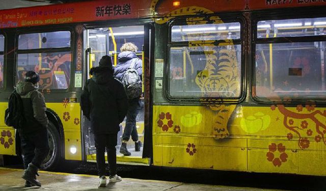 Toronto otobüsleri Çin kültürünü sergilemek için kaplan deseniyle süslendi