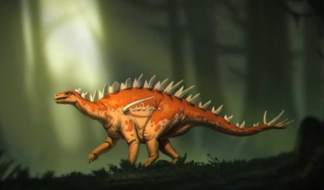 Çin'de yeni bir stegosaurus türü keşfedildi