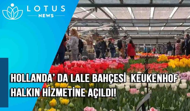 Video: Hollanda'da lale bahçesi Keukenhof halkın hizmetine açıldı