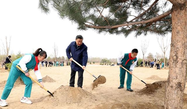 Çin Cumhurbaşkanı Xi, ağaç dikme etkinliğine katıldı