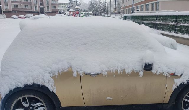 Aşkale’de kartpostallık kar görüntüleri