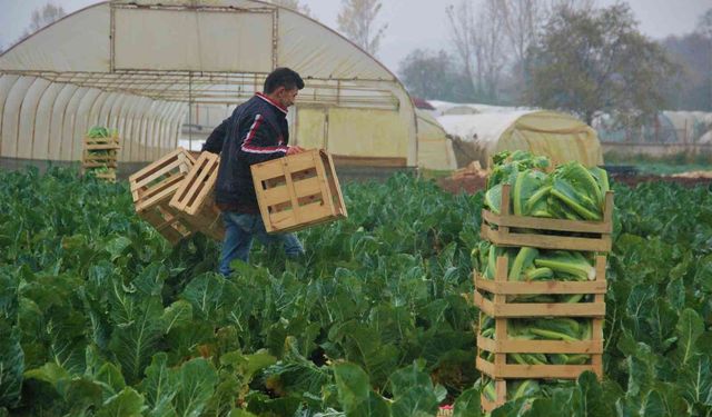 Başvuru için 15 Mart son gün