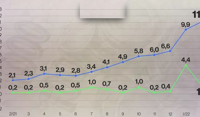 Çekya’da tüketici fiyat endeksi son 24 yılın rekorunu kırdı