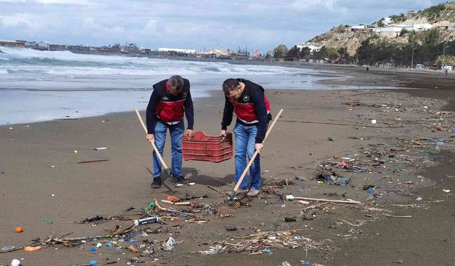 Hatay’da sahile vuran ölü denizanaları incelemeye alındı