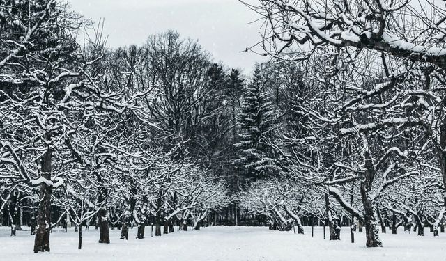 Meteoroloji'den 10 il için turuncu uyarı: Kar yağışı ne zaman bitecek?