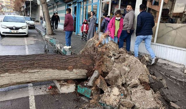 Şanlıurfa’da faciadan dönüldü