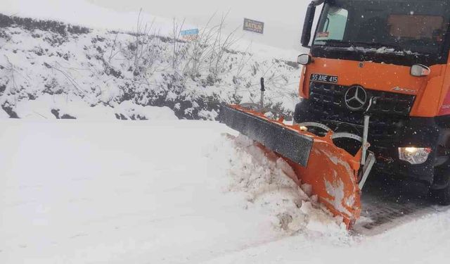 Sibirya soğukları geldi, yüksekler karla kaplandı