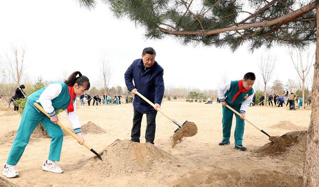 Xi, en üst düzey lider olmasının 10'uncu yılında ağaç dikme faaliyetine katıldı