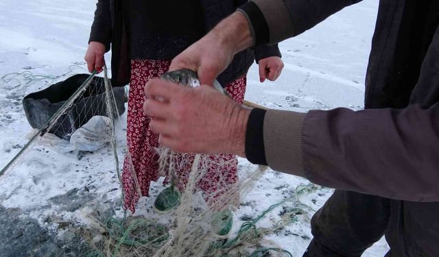 Yüzeyi donan Çıldır Gölü’nde Eskimo usulü balık avı