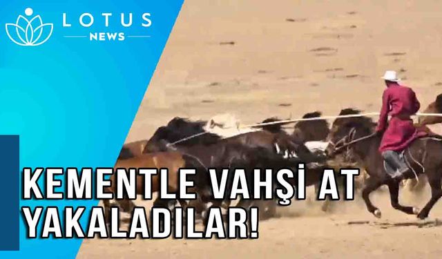 Video: Çin'in İç Moğolistan bölgesinde vahşi atları kementle yakalama gösterisi