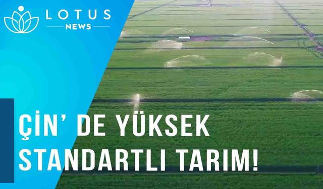 Video: Çin'in yüksek standartlı tarım arazilerinde akıllı tarım çalışmaları