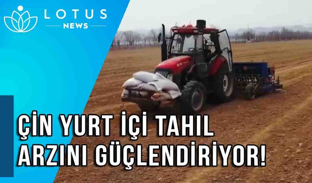 Video: Gıda güvenliğini hedefleyen Çin, yurtiçi tahıl arzını güçlendiriyor