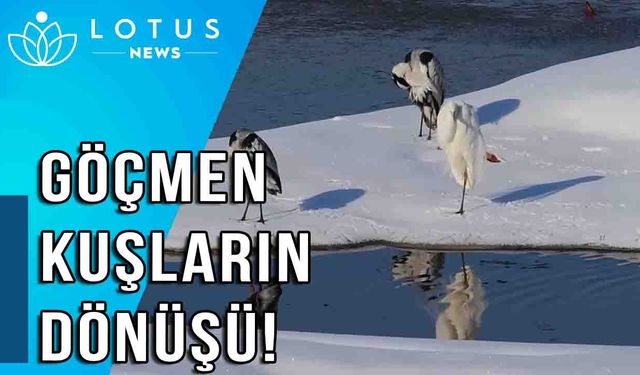 Video: Çin'in sınır kenti göçmen kuşların dönüşünü memnuniyetle karşıladı