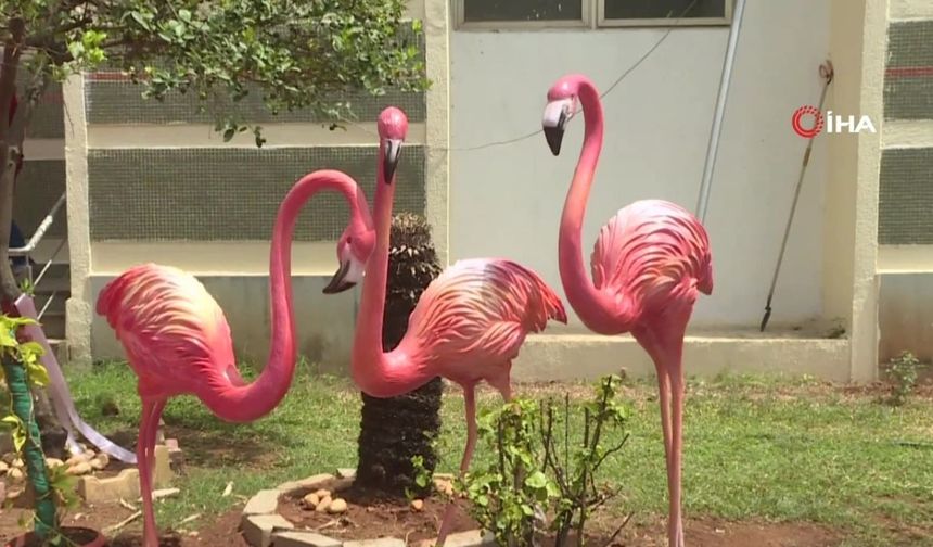 Flamingo Festivali