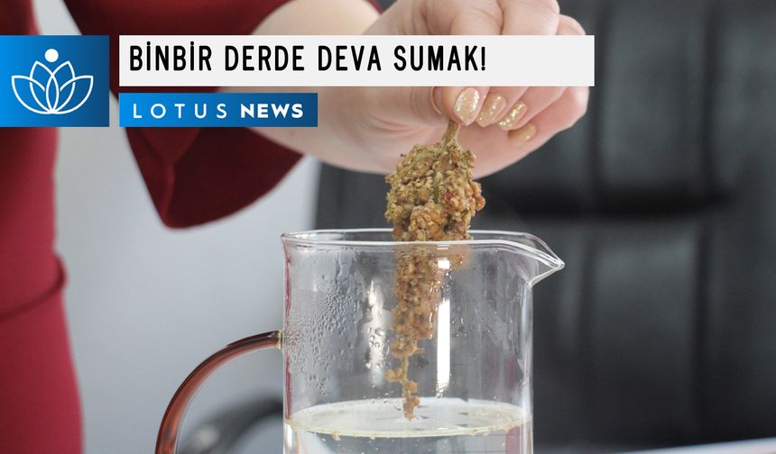 Türk mutfağının vazgeçilmezi 'sumak' adeta şifa deposu