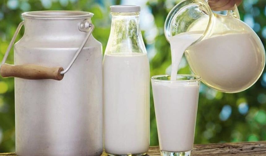Çinli süt ürünleri devi Mengniu 2023 yılında gelir ve karını artırdı
