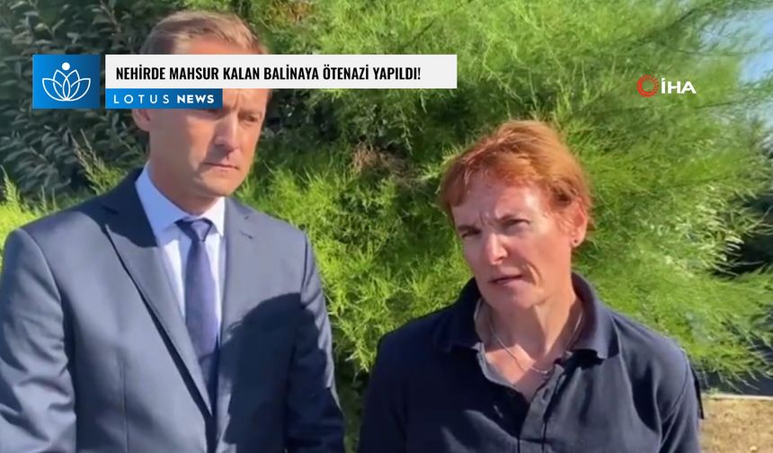 Fransa'da nehirde mahsur kalan balinaya ötenazi