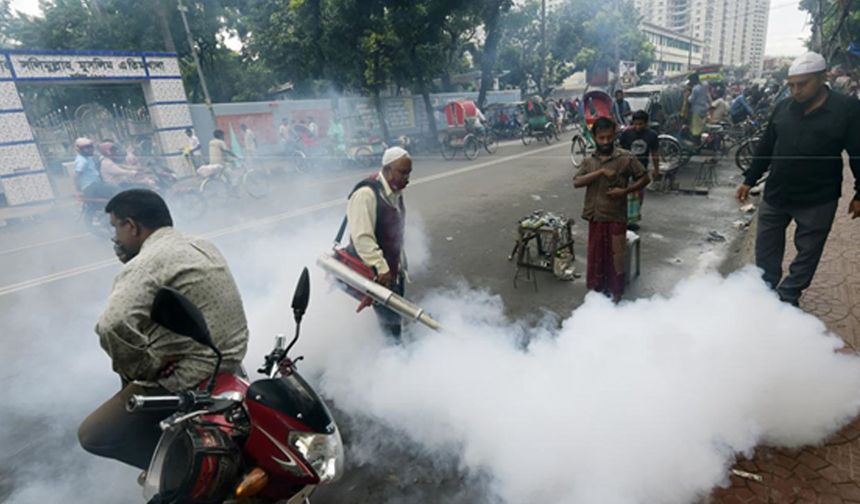 Bangladeş'te dang humması vaka sayısı 2025'te 40.000'e yaklaştı: 161 ölü