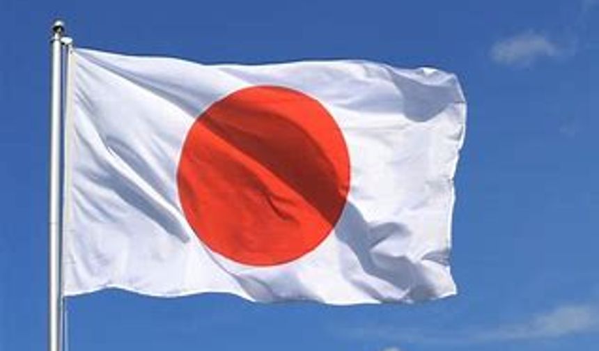 Japonya'da kırmızı pirinç mayalı gıda takviyesi kullanan 5 kişi hayatını kaybetti