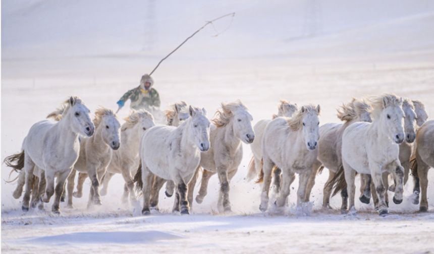 Moğolistan'da termometreler eksi 45 dereceyi gösterdi