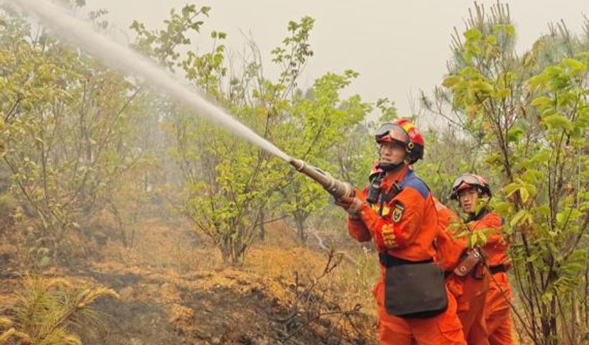 Çin'in Yunnan eyaletinde çıkan orman yangını söndürüldü