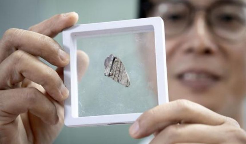 Çin'in güneyinde bulunan fosilleşmiş dişler bölgede yaşamış dinozorlara dair ipuçları sunuyor