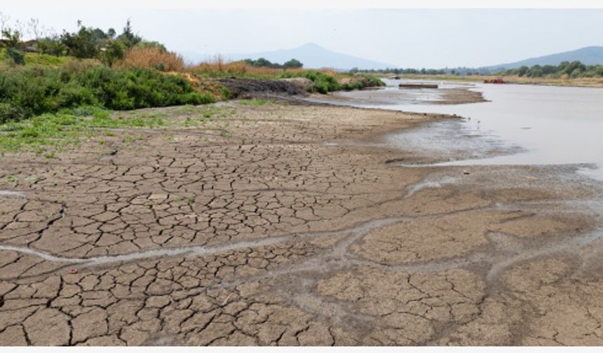 Meksika'nın birçok bölgesi kuraklıktan muzdarip