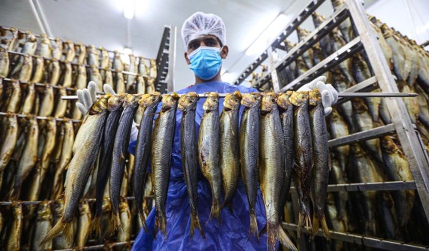 Mısır'da Şam el-Nessim festivalinin başlıca yiyeceği: Tütsülenmiş balık