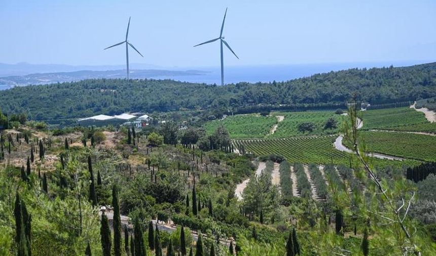 Urla: Küçük bir kasabadan popüler bir turizm merkezine dönüşümün öyküsü