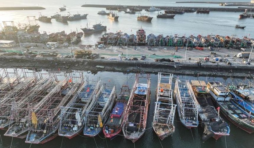 Çin'de avlanma sezonunun başlamasıyla balıkçılar taze deniz ürünlerini pazar için hazırlıyor