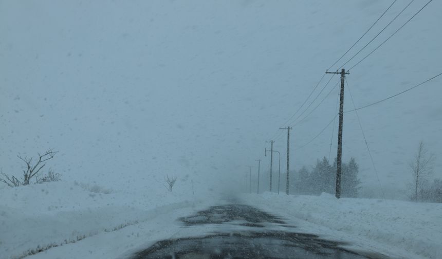 Avusturya'da çığ felaketi: 8 ölü