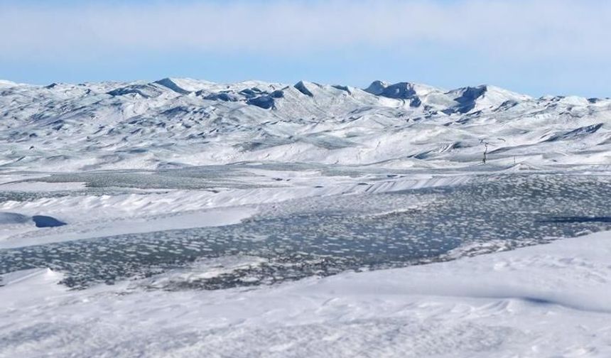 Grönland hükümeti: ABD'nin Grönland'ı devralma isteği hiçbir koşulda kabul edilemez