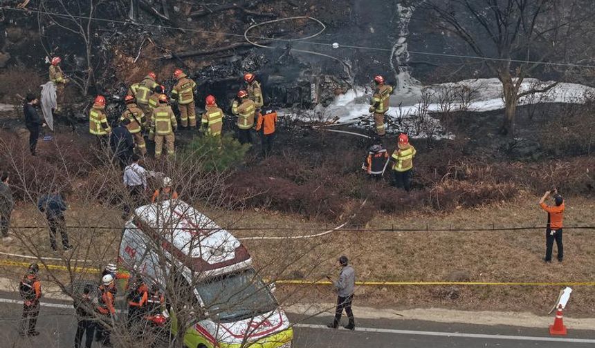 Güney Kore'de yangın söndürme faaliyetleri sürdürürken düşen helikopter pilotu ölü olarak bulundu