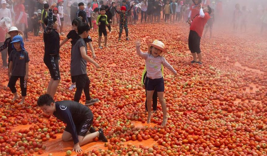 Güney Kore'de düzenlenen domates festivalinde yüzlerce kişi domates savaşı yaptı