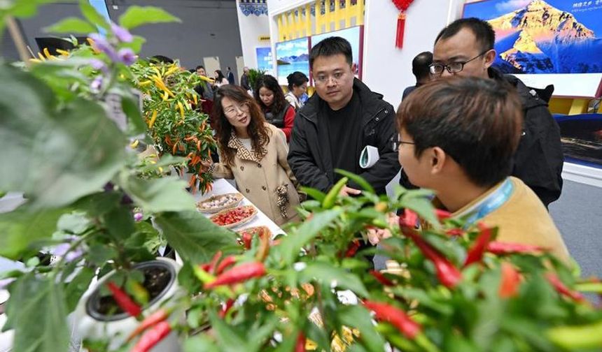 Çin'de düzenlenen 32. Tarımsal Yüksek Teknoloji Fuarı son teknoloji ürünleri bir araya getiriyor
