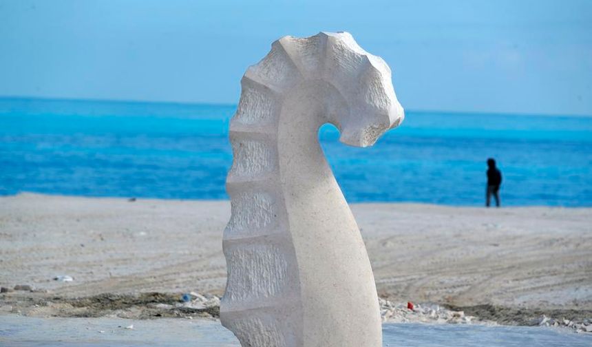 Mısır'ın Yeni Alameyn kentinin sahili beyaz heykellerle dolu açık hava galerisine dönüştü