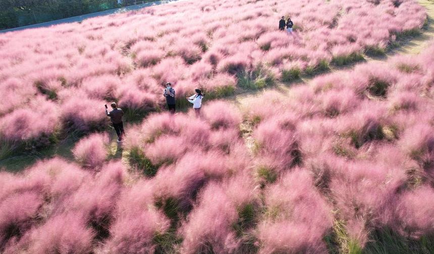 Çin'den tabloları aratmayan sonbahar manzaraları