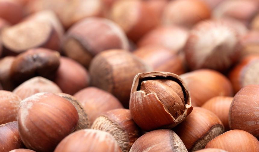 FİSKOBİRLİK: Türk fındığını Çin Uluslararası İthalat Fuarı'nda tanıtarak, iki ülke arasında ortak bir hikaye yazmak isti