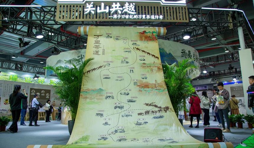 Çin'in Wuyishan kentinde düzenlenen 17. Boğazlar Arası Çay Fuarı ziyaretçilere kapılarını açtı