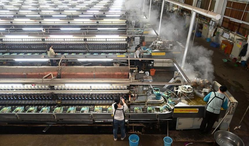 Çin'in Xincheng ilçesinde köklü ipekböcekçiliği sektörü yeniden hayat buluyor