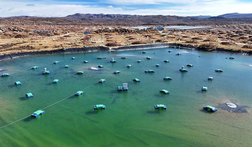 Çin'in Yüksek İrtifa Gök Akımı Gözlemevi, kozmik ışınların algılanmasında yüksek doğruluk payıyla öne çıkıyor
