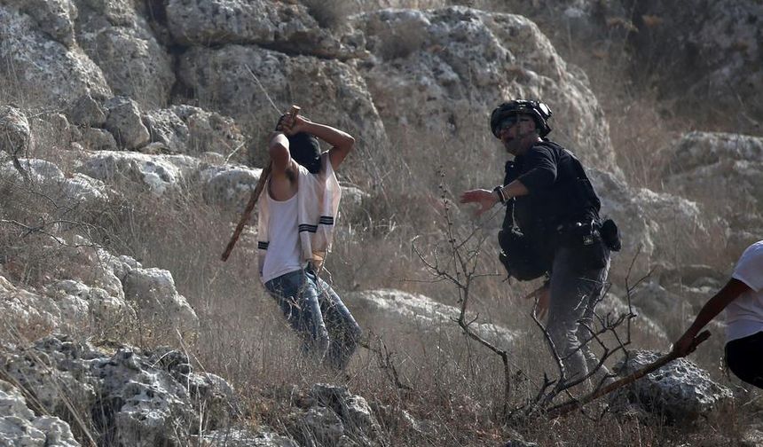 İsrailli yerleşimcilerin Batı Şeria'da zeytin hasadı yapan Filistinlilere yönelik saldırıları arttı
