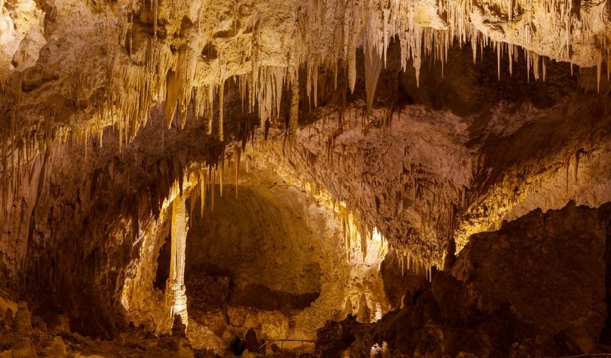 Meksika'da bir mağazada patlama: En az 22 ölü