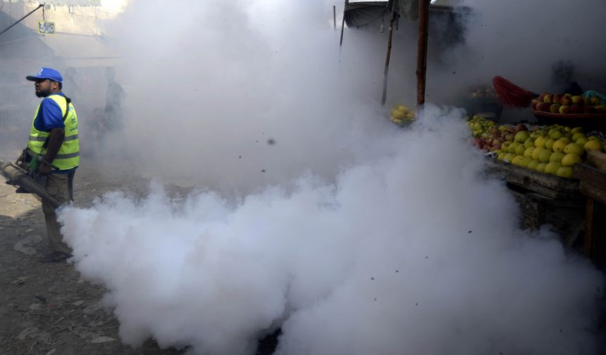 Pakistan'da dang hummasına karşı yoğun önlemler alınıyor