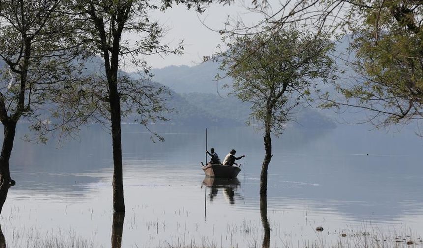 Hindistan'da balıkçılar ağlarını Phangota Gölü'ne attı